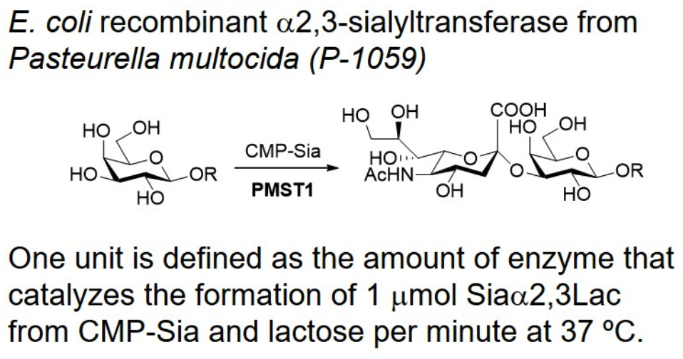 α-2,3-sialyltransferase;PmST1